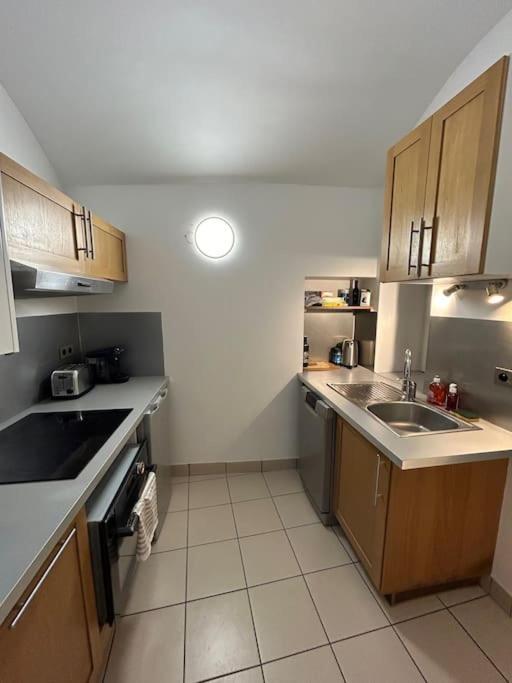 Duplex Avec Terrasse En Hypercentre De Grenoble Daire Dış mekan fotoğraf