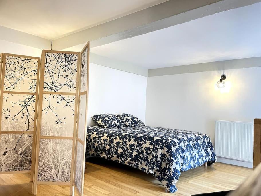 Duplex Avec Terrasse En Hypercentre De Grenoble Daire Dış mekan fotoğraf